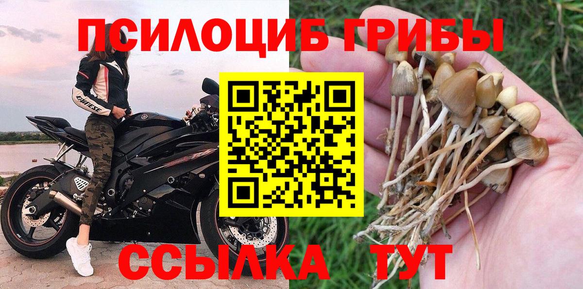 Майкоп  Галлюциногенные грибы ЛСД  Вход с VPN 